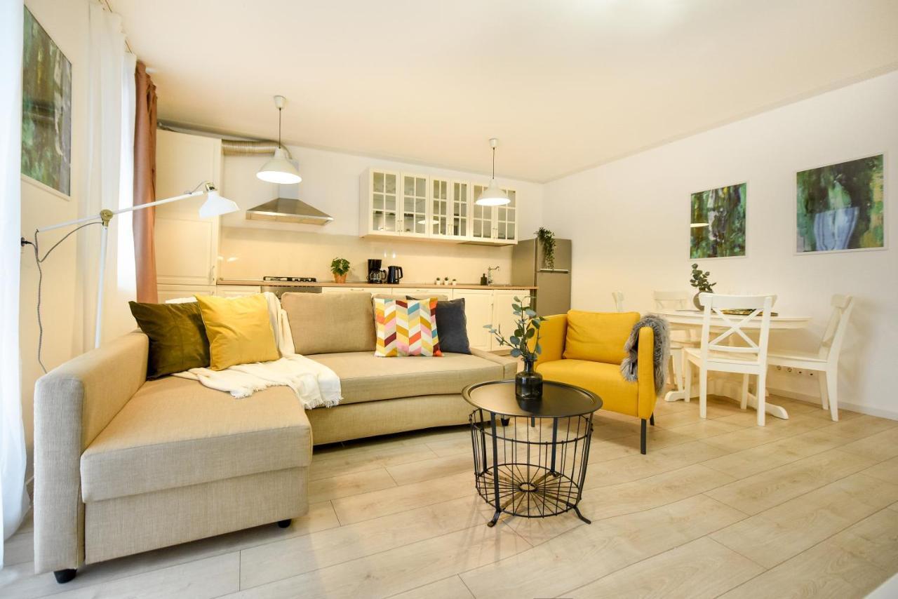 Apartment The Comfy Spot - 1 Br-apartment & Parking Included In North Business Area Bucharest
