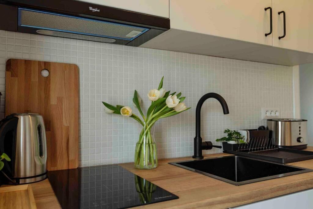 Apartment Amazing Views Rooftop Flat - Amzei Square *