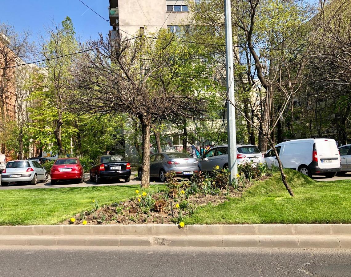 Cozy And Clean Apartment, Near National Arena Bucharest