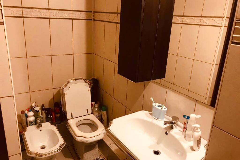 Cozy 2 Close To Center Apartment Bucharest