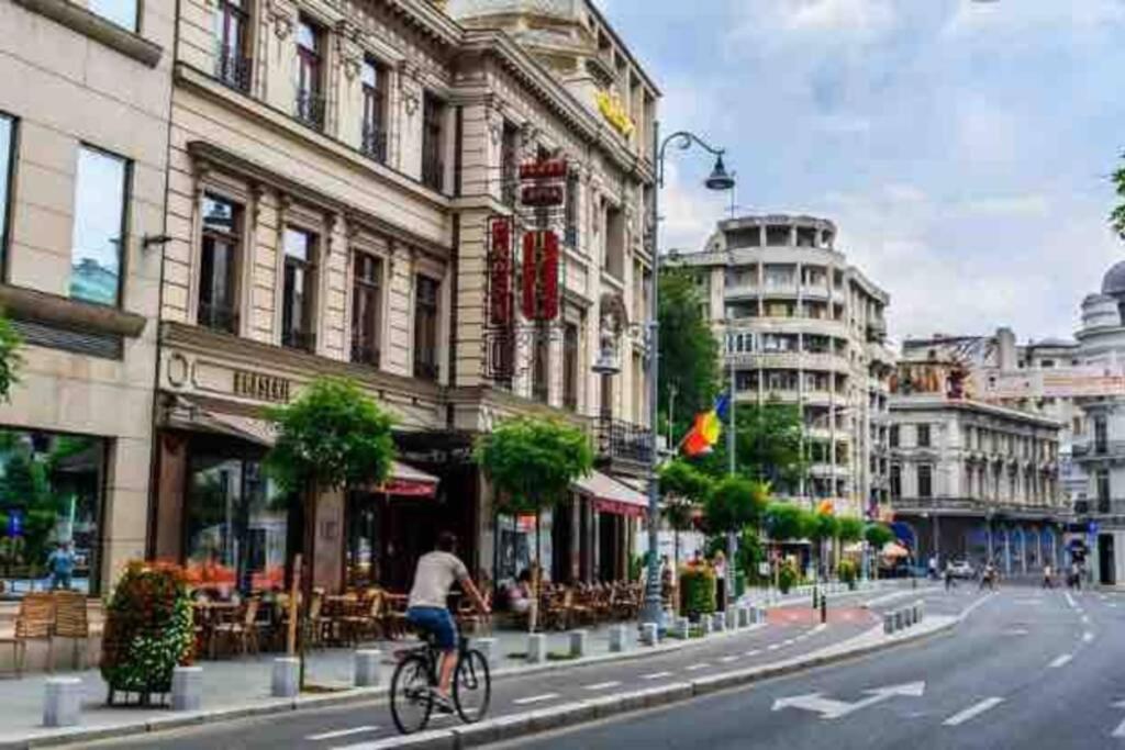 Super - Lovely One-bedroom On Victoriei Avenue Bucharest