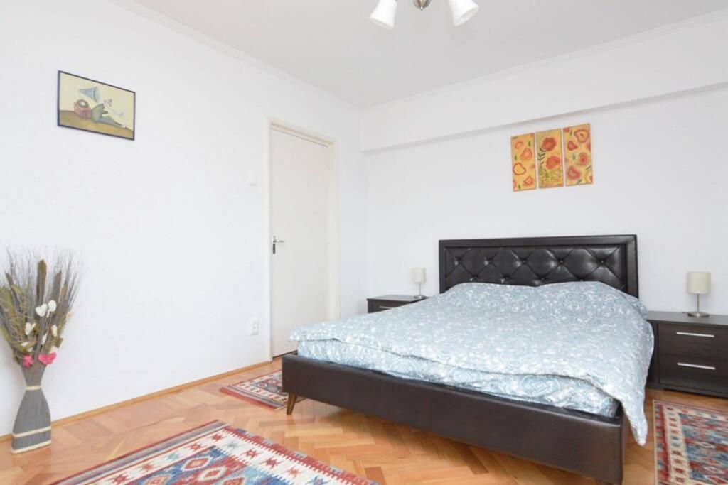 Apartament Ultracentral Piata Unirii Apartamento *