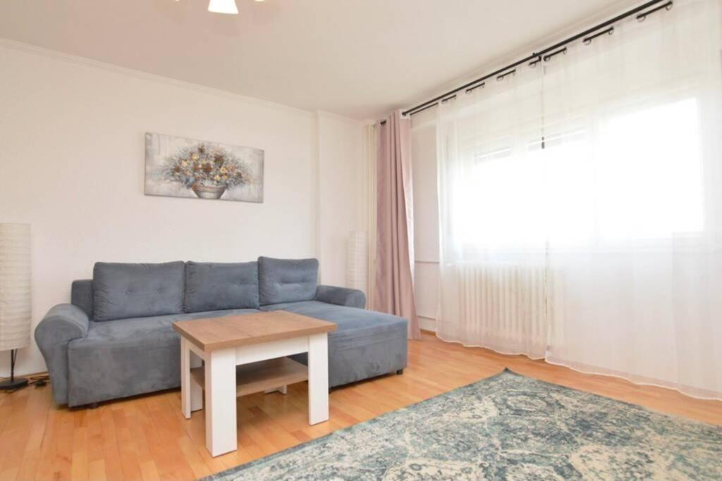 Apartament Ultracentral Piata Unirii *