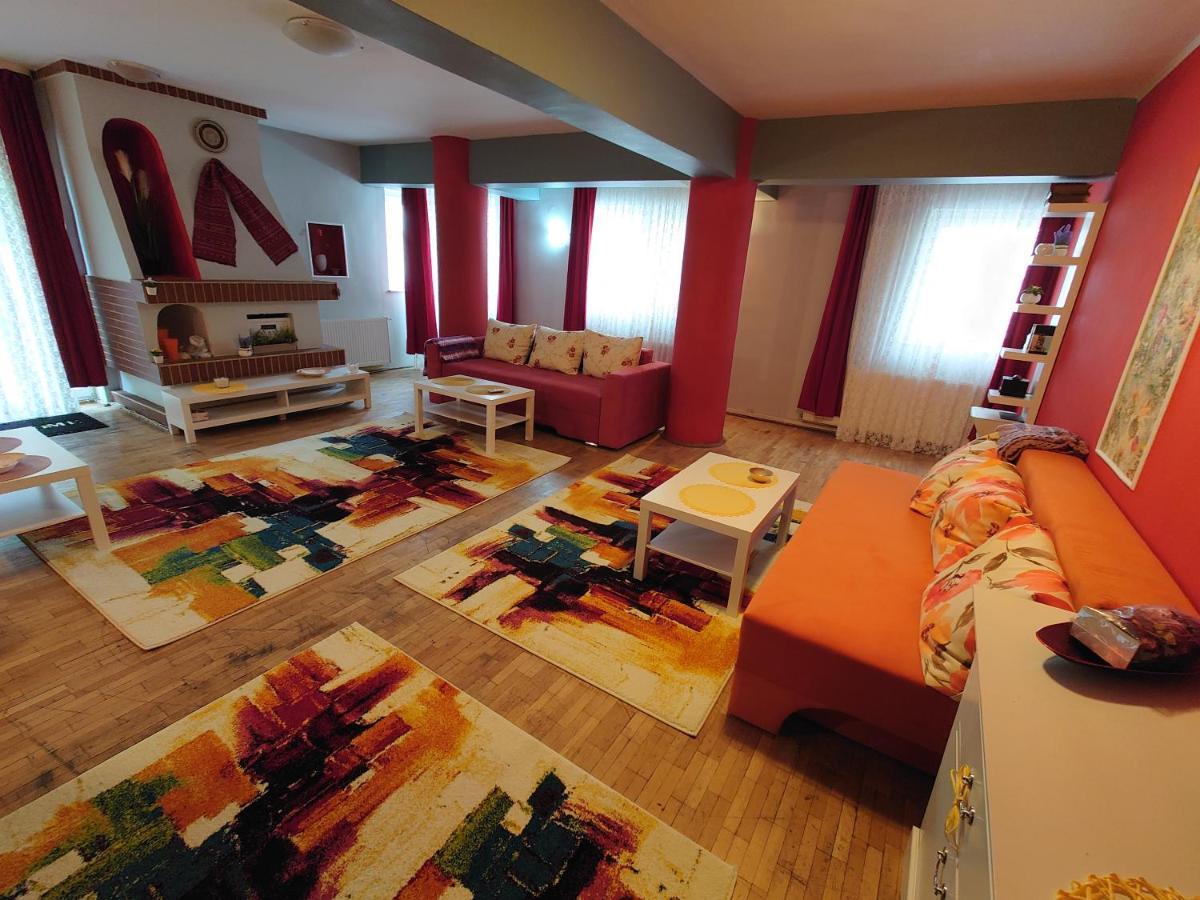 Andreea's Apartments-old Town