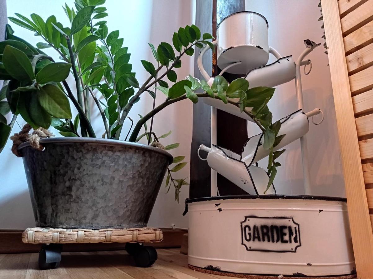Urban Zen Den 2 Bucareste