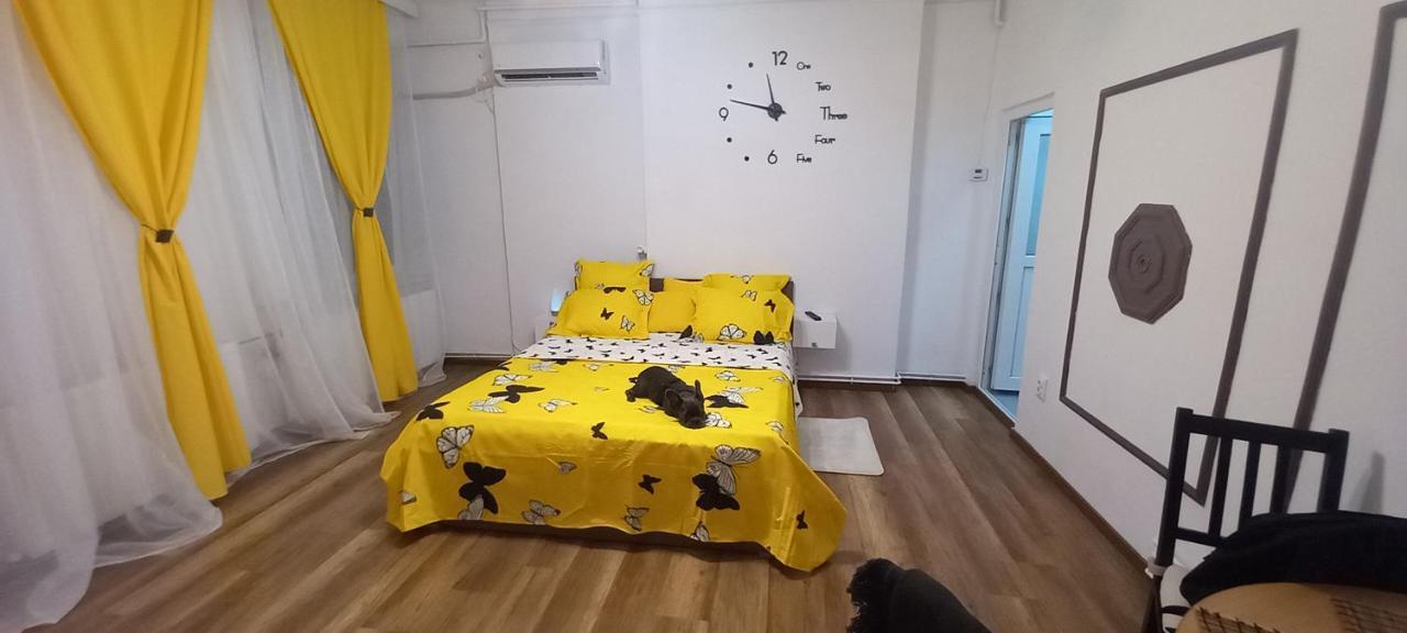 Vlad's Unirii Apartment Bucharest