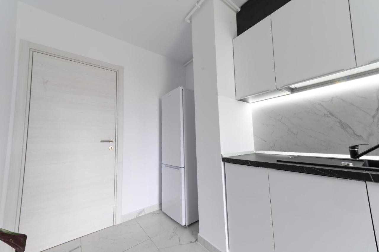 North Artistique - Aviatiei Apartment Bucharest