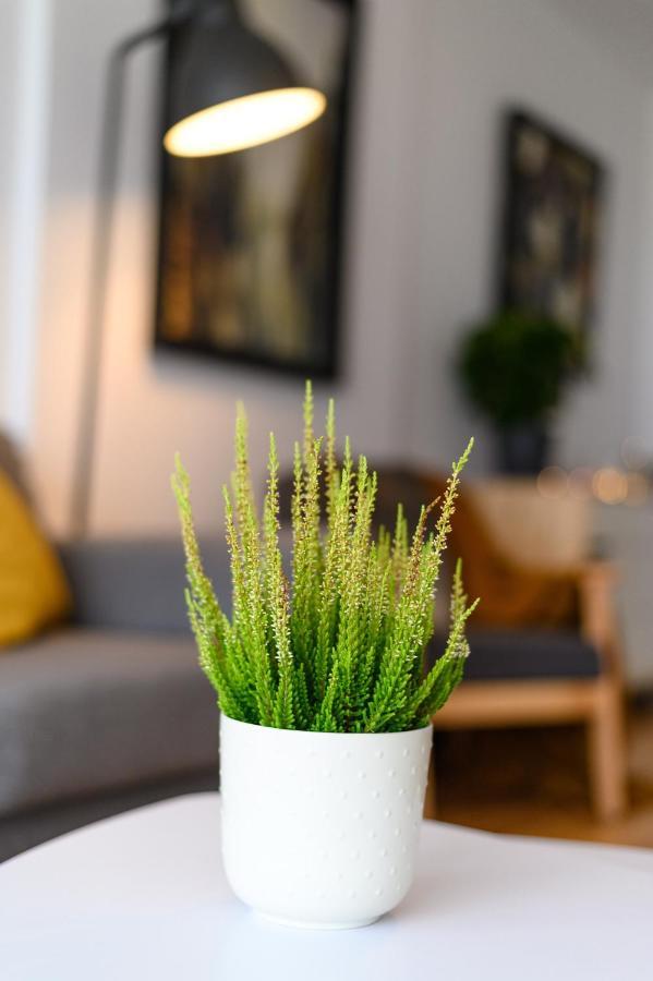 North Artistique - Aviatiei Apartment