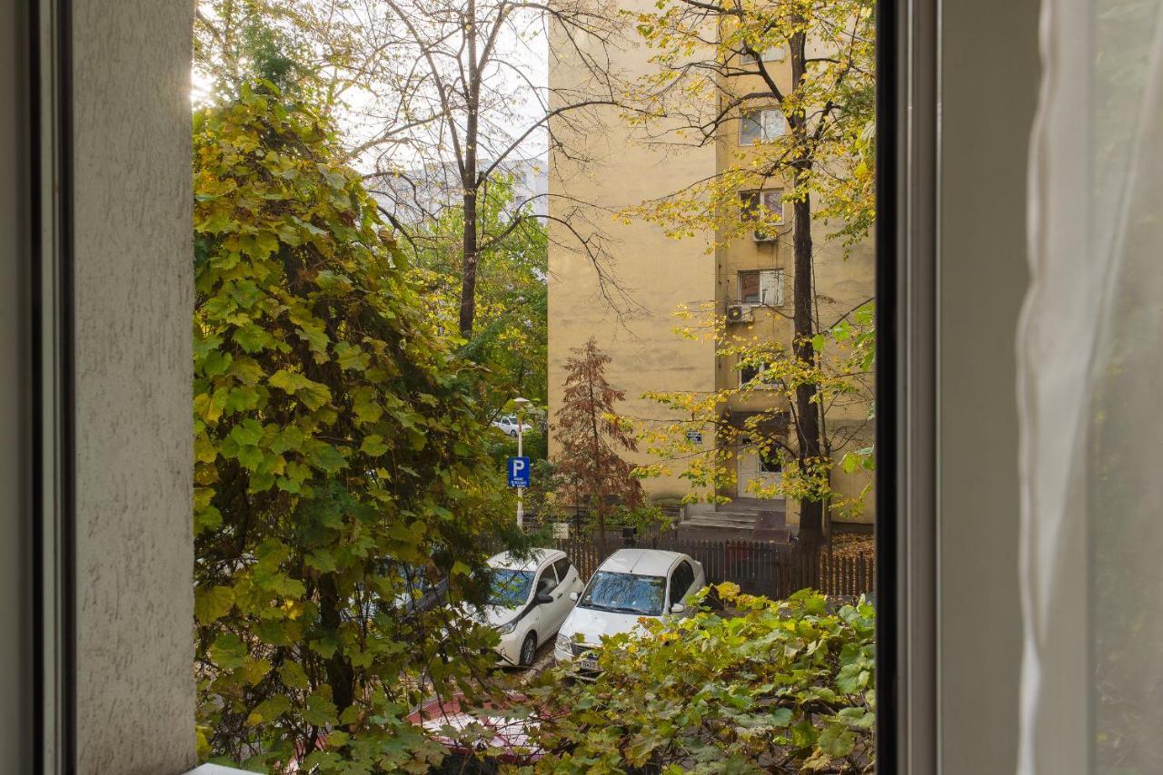 Apartament, Ultracentral, Piata Victoriei Apartment *