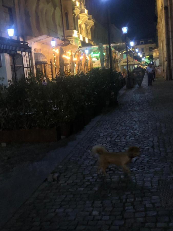 Charming Quiet Coltea Old Town In The Centre Of