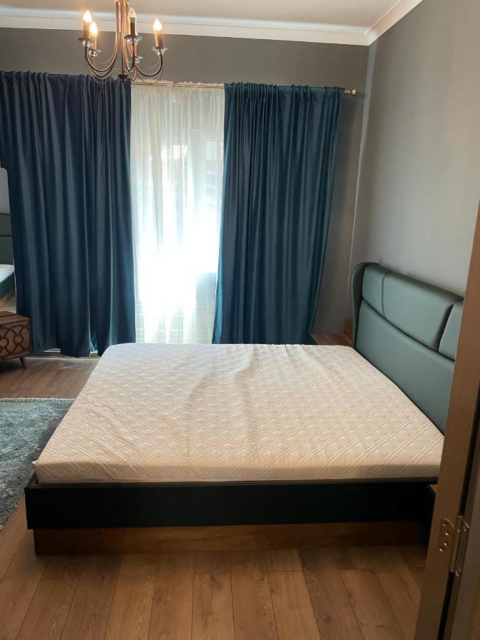 Apartment Balcescusuite *