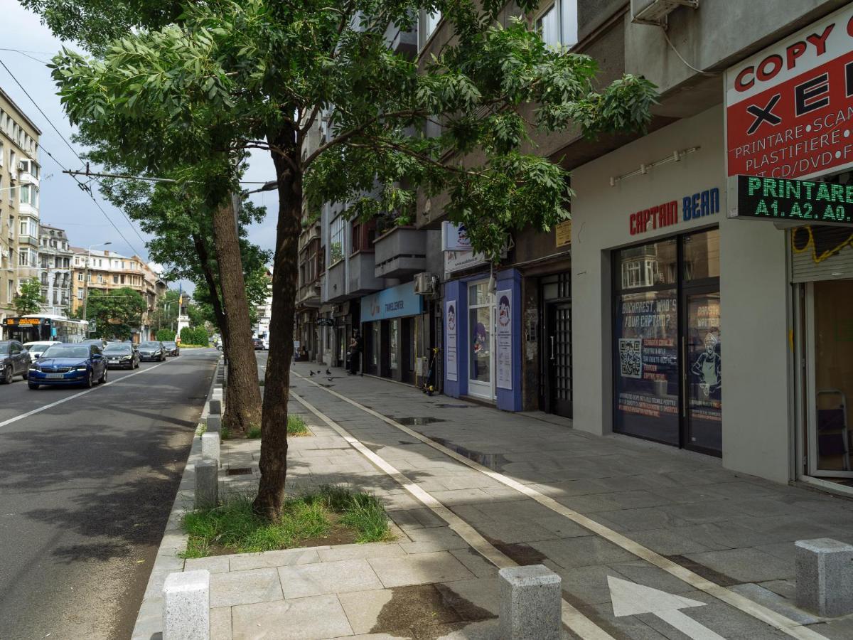 Apartament Beautiful Modern - Cismigiu Park - Netflix Bucureşti