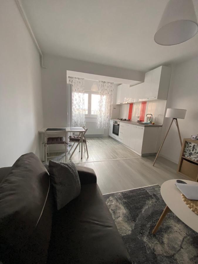 Apartment Zian Flat Bucharest