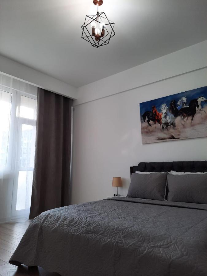 Apartment Luxury Center - Garofita Romana *
