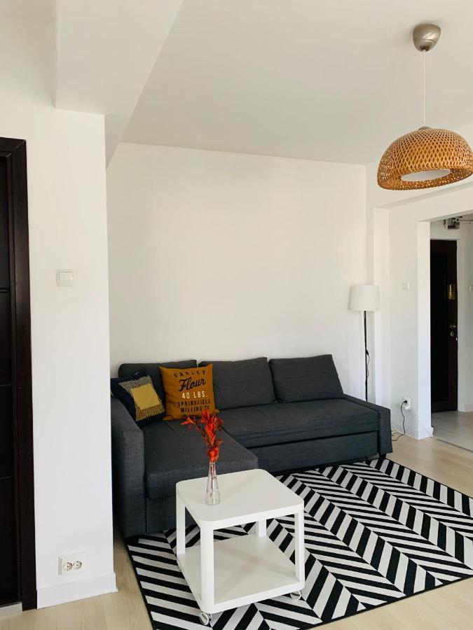 Cozy Studio - Floreasca/​dorobanti - Apartment Bucharest