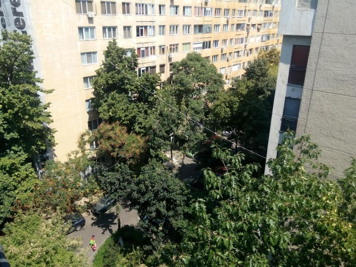 Apartment Sonia *
