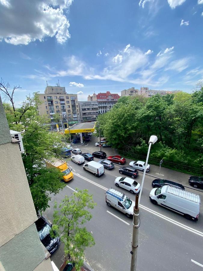 Cismigiu Park Town Apartment