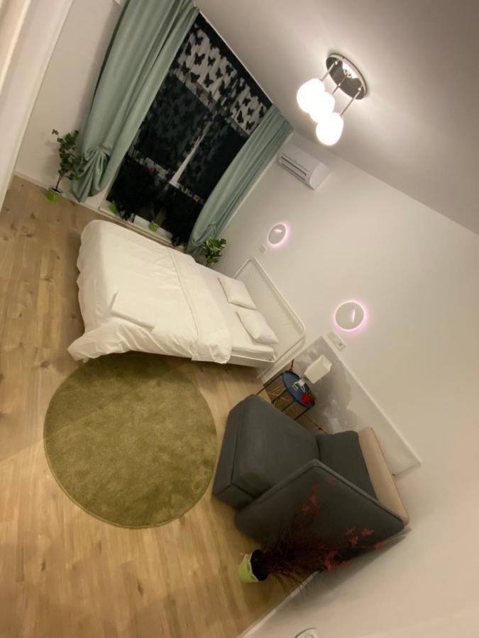 Apartment 109-7 With Roof View *