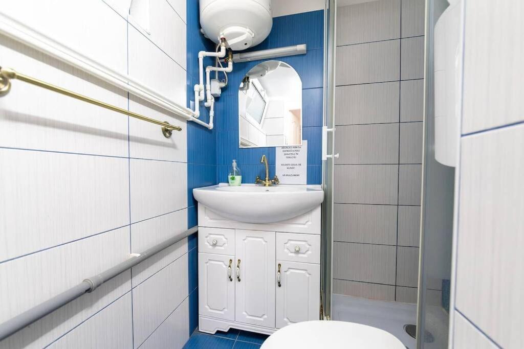 Apartment Cozybucharest
