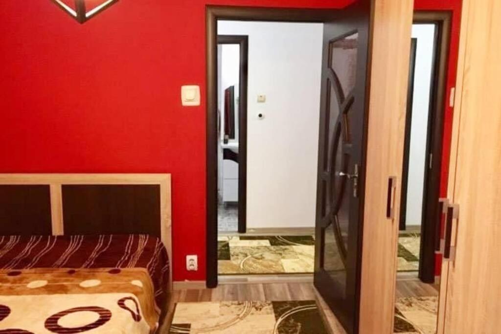 Cute In Sector3 -bucuresti * Bucharest