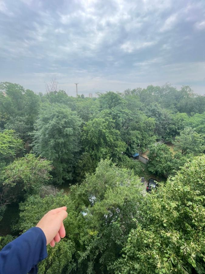 Garsoniera-studio Oxygen-40mp Nou Direct In Plaminul Verde Al Parcului National ! Parcare Privata Doar Cu Rezervare In Limita Locurilor Disponibile ! Proprietate In Regim Hoteliep - Nu Are Bucatarie ! Bucharest