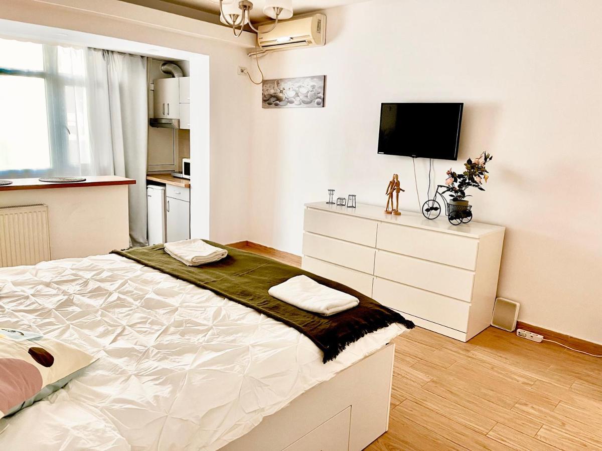 Victoriei Apartment