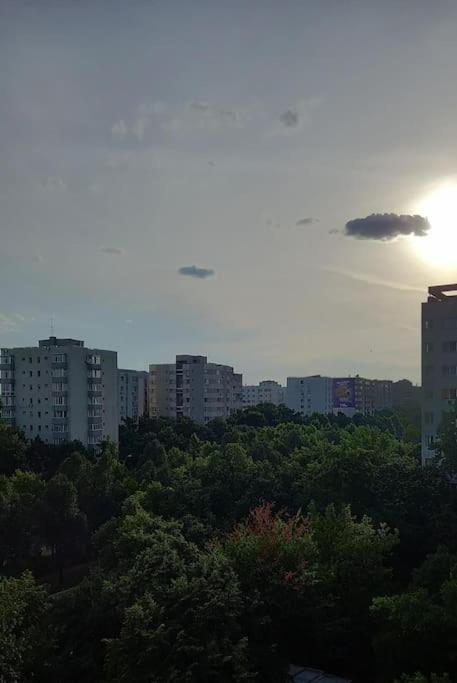 Cozy Place Bucureşti