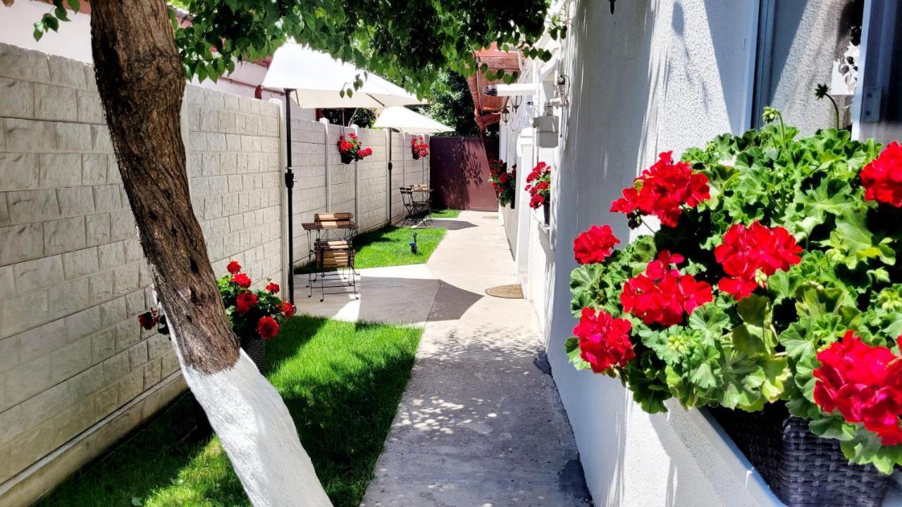 Apartamento Rose Garden House
