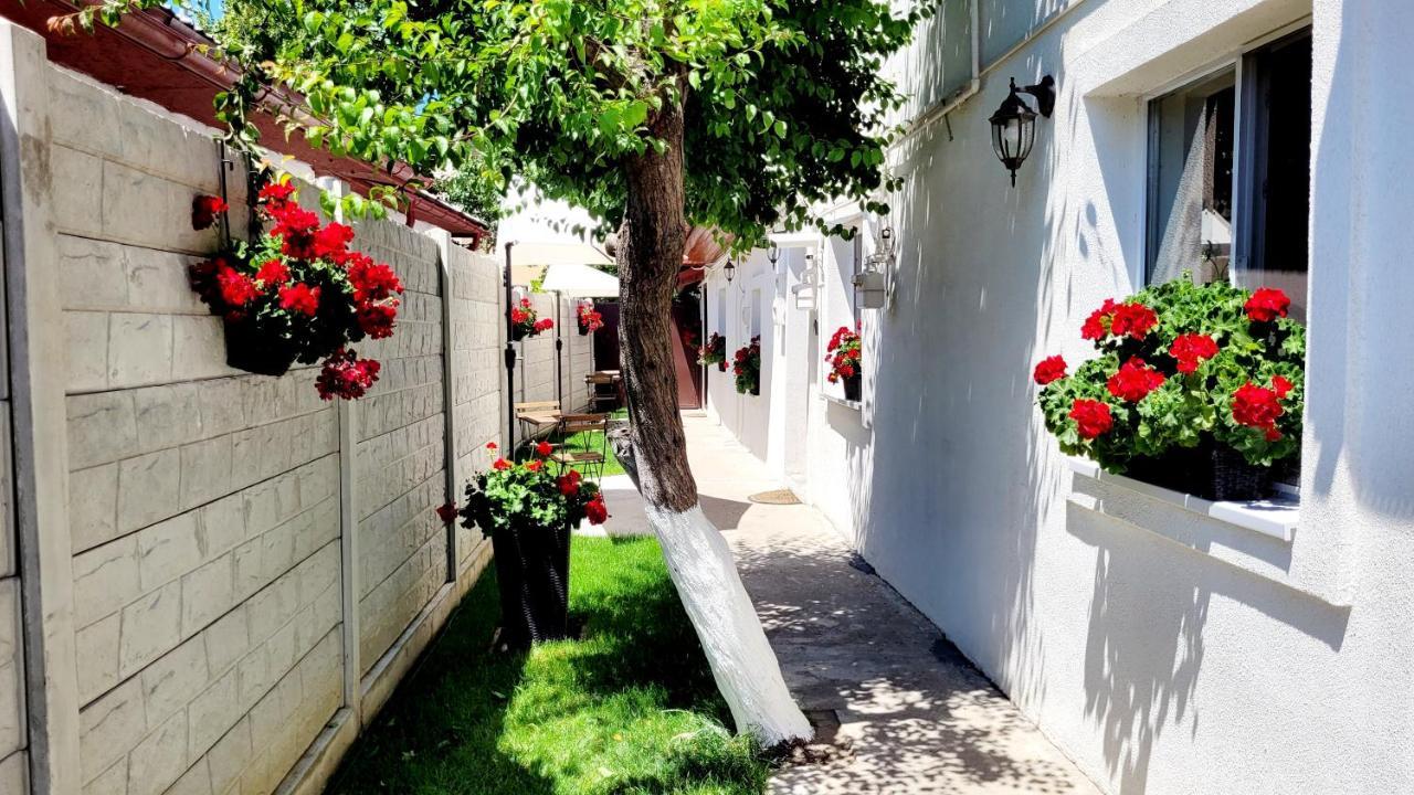 Rose Garden House * Bucureşti