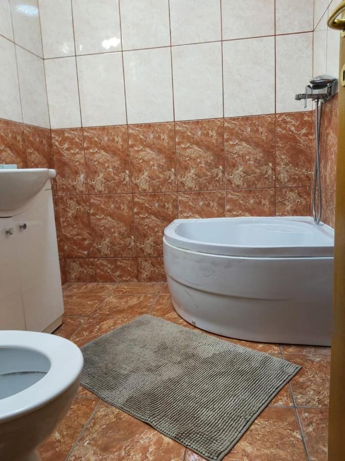 Avrig-ferdinand Apartment *