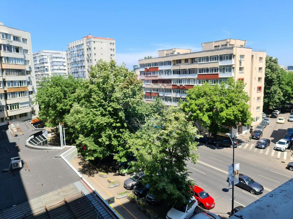 Le Petit Paris- , Dorobanti With A View