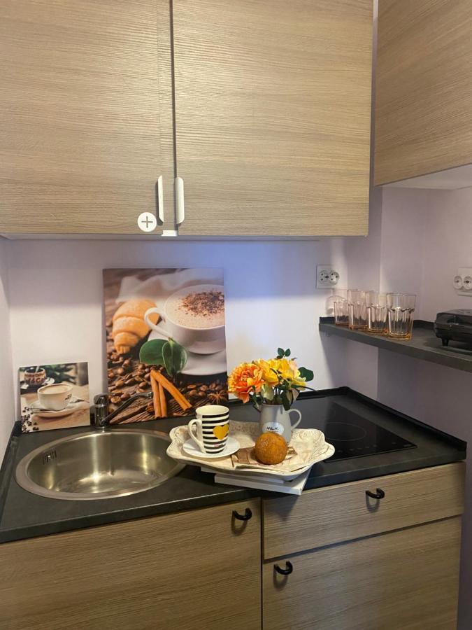 Apartment Victoriei Deluxe Bucharest
