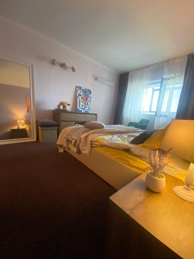 Apartment Victoriei Deluxe *