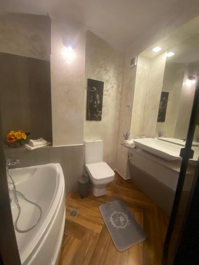 Apartment Victoriei Deluxe Bucharest