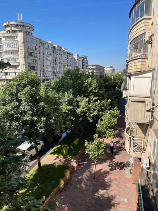 Apartamento 3 In The Center Of Bucareste