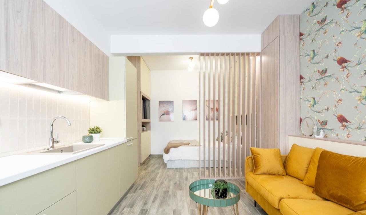 Executive Suites In Center Bucureşti