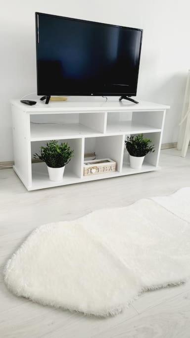 Victoriei Central Studio Apartament *