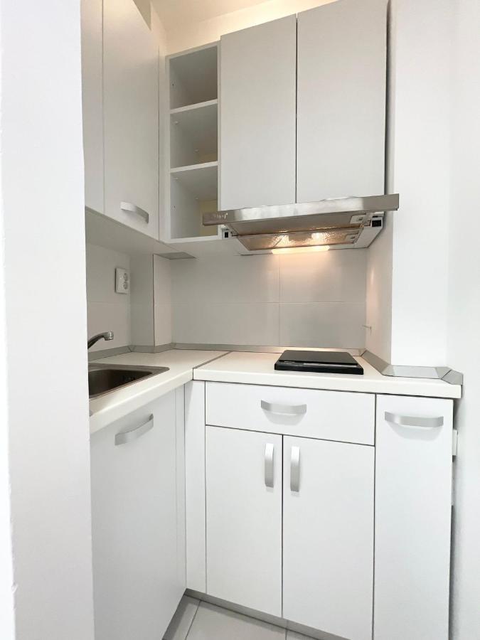 Apartament Victoriei Central Studio *
