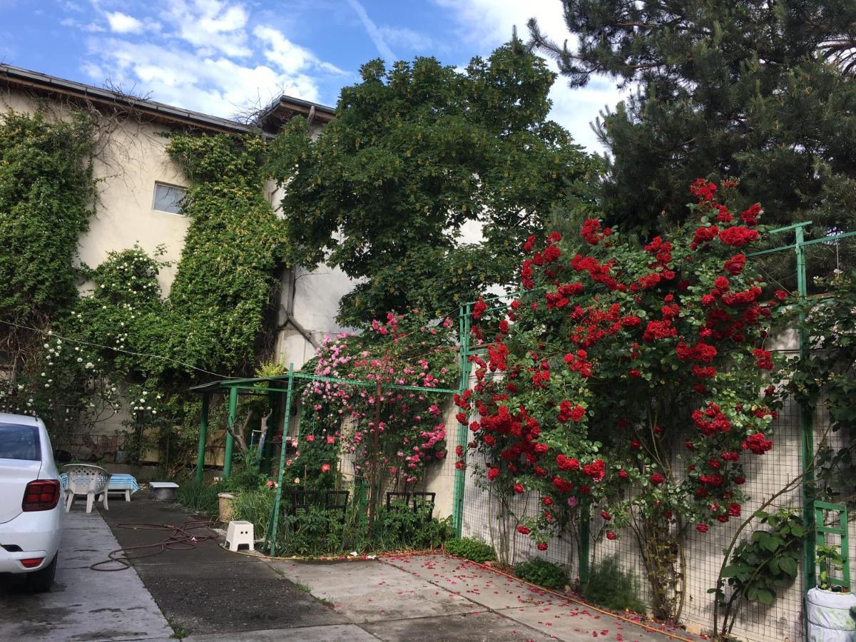 Homestay 2 Bucharest