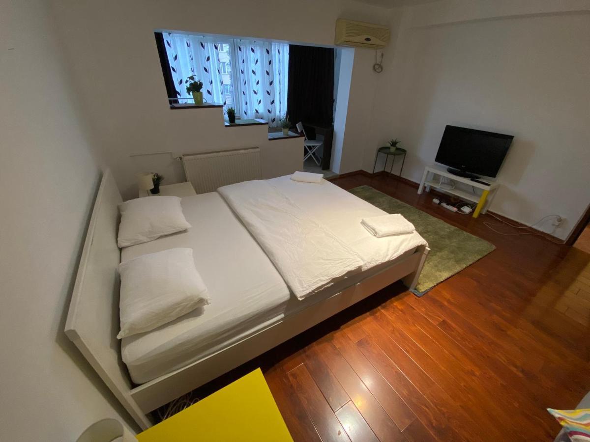 Apartment New 1