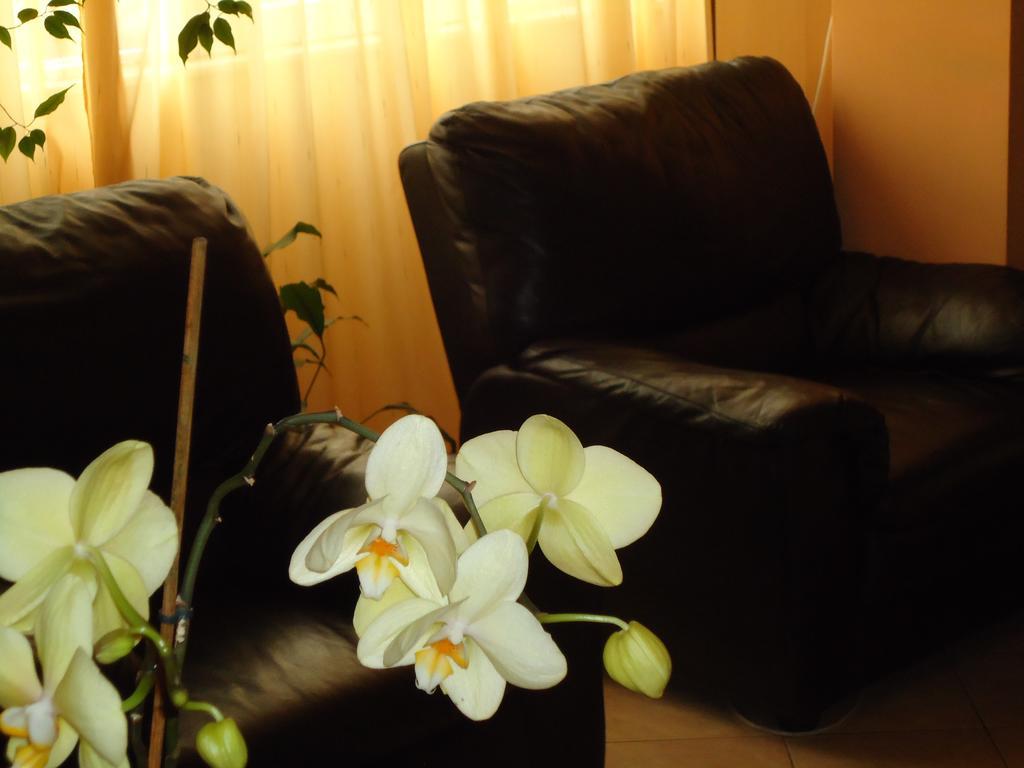 Bucharest Apartments Apartment