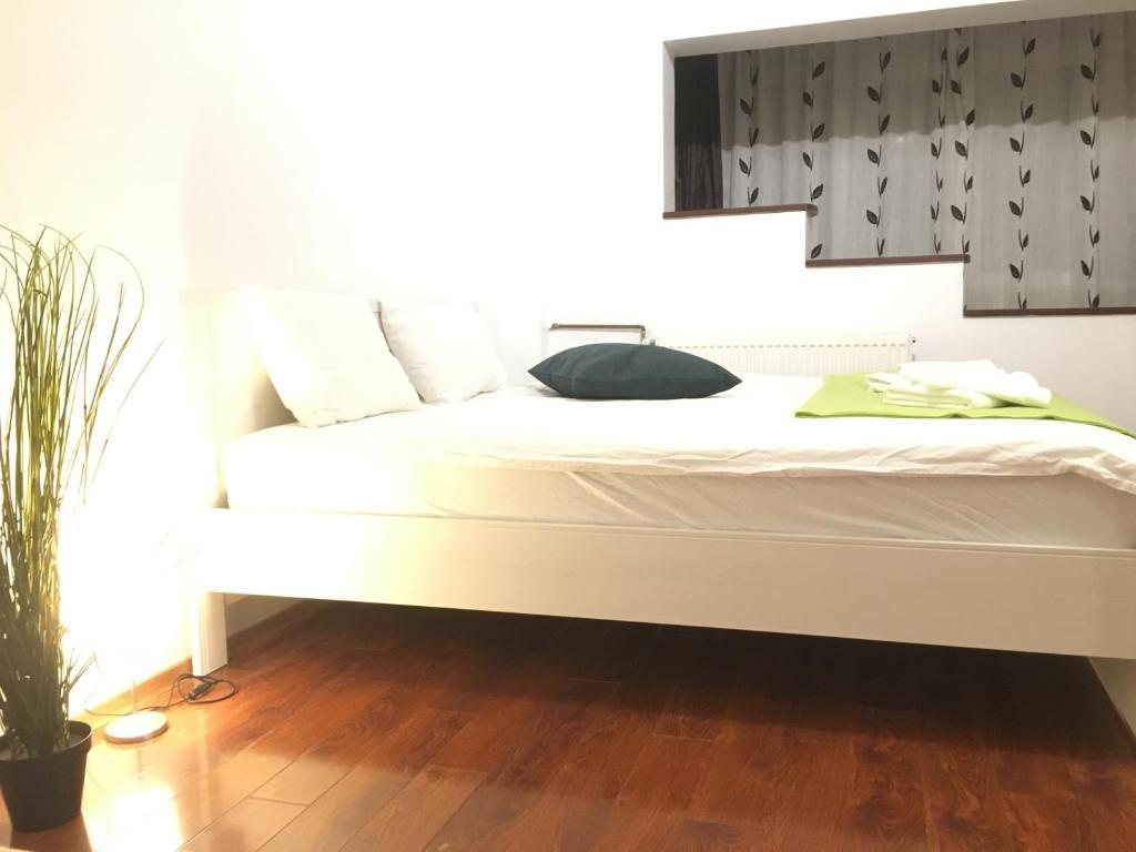 Apartment New 1