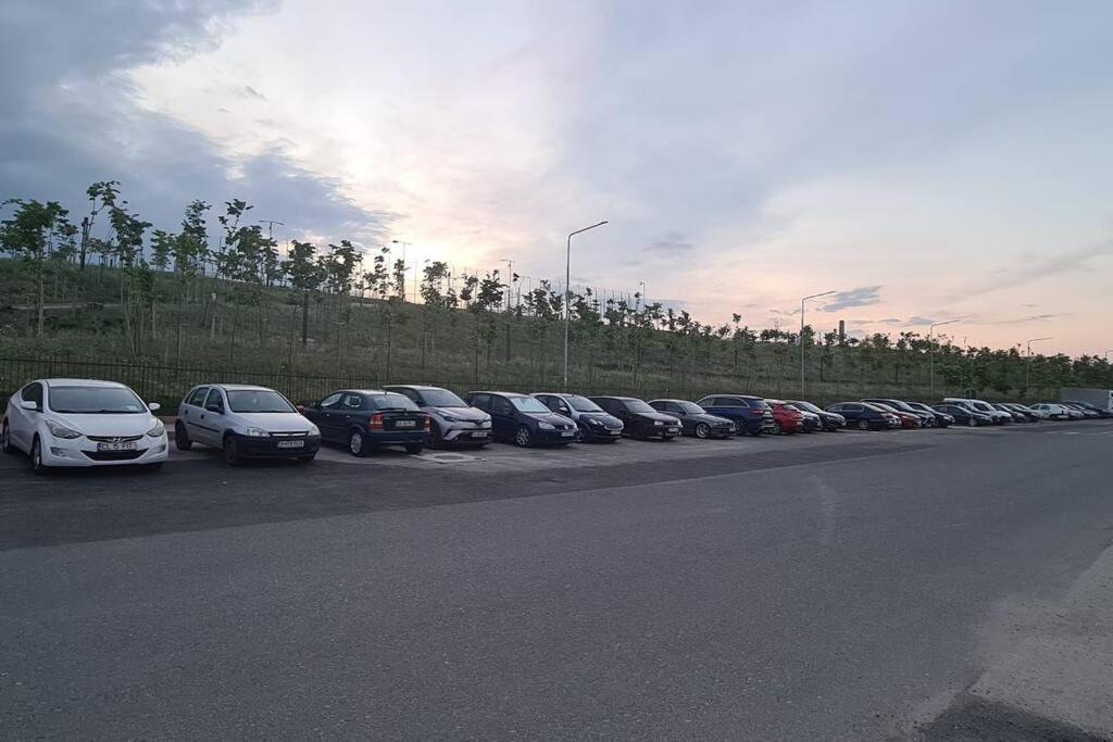 Siriului