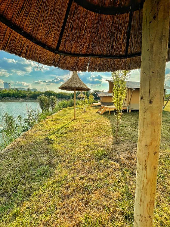 Luz Glamping Campsite Bucharest