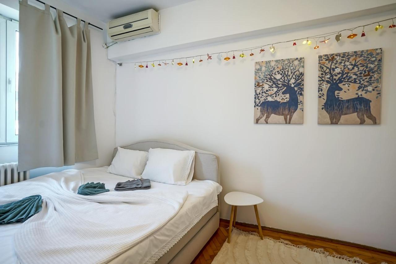 Apartament Universitate - Centrul Vechi