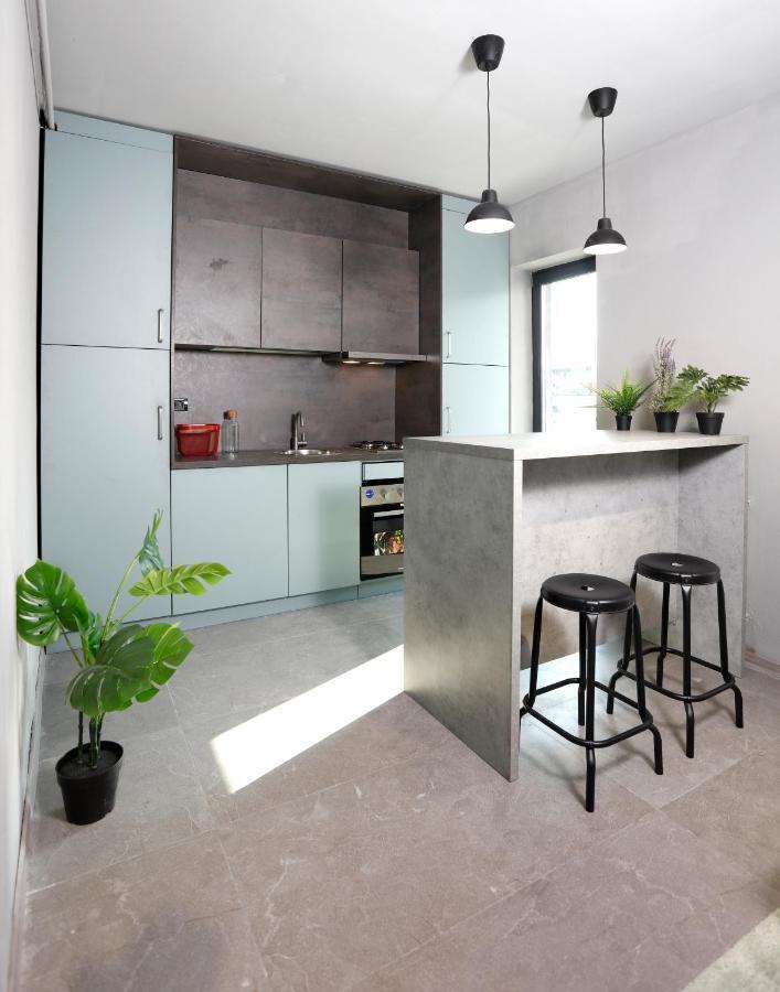 Apartment Lovely Industrial Studio With Netflix Bucharest