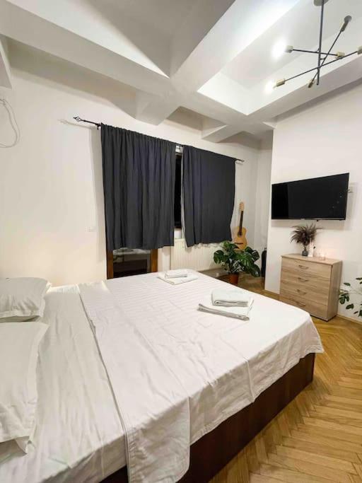 Cozy Flat Right Next To Bucharest's Park Bucureşti