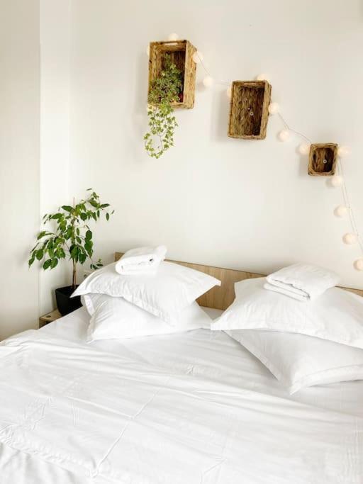 Cozy Flat Right Next To Bucharest's Park Apartament