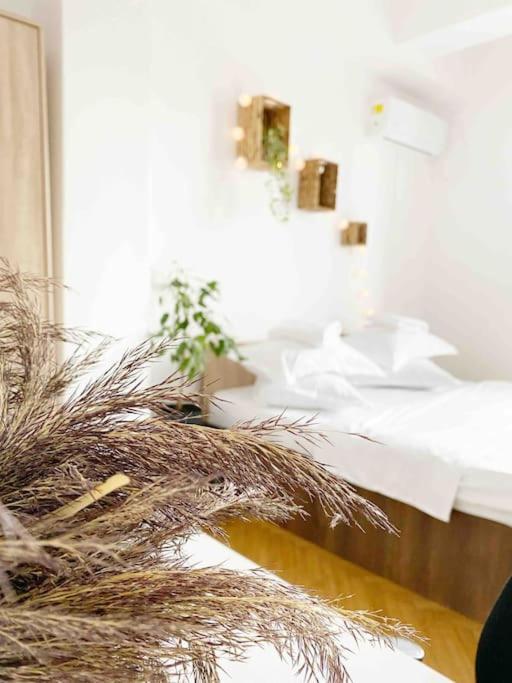 Apartament Cozy Flat Right Next To Bucharest's Park Bucureşti