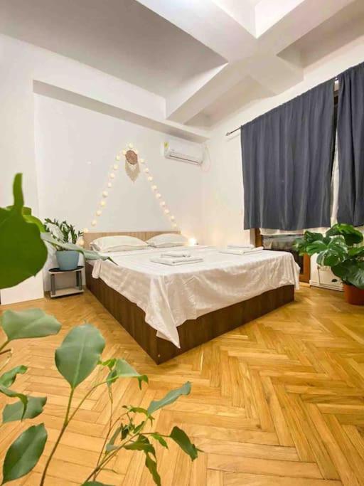 Cozy Flat Right Next To Bucharest's Park Apartament